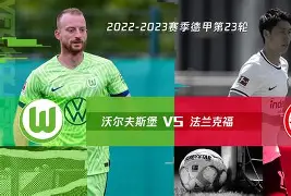 凤凰娱乐APP-沃尔夫斯堡在联赛中保持不败，保持稳定态势的简单介绍