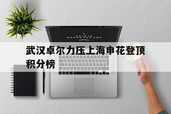 手机APP-上海申花对武汉卓尔视频